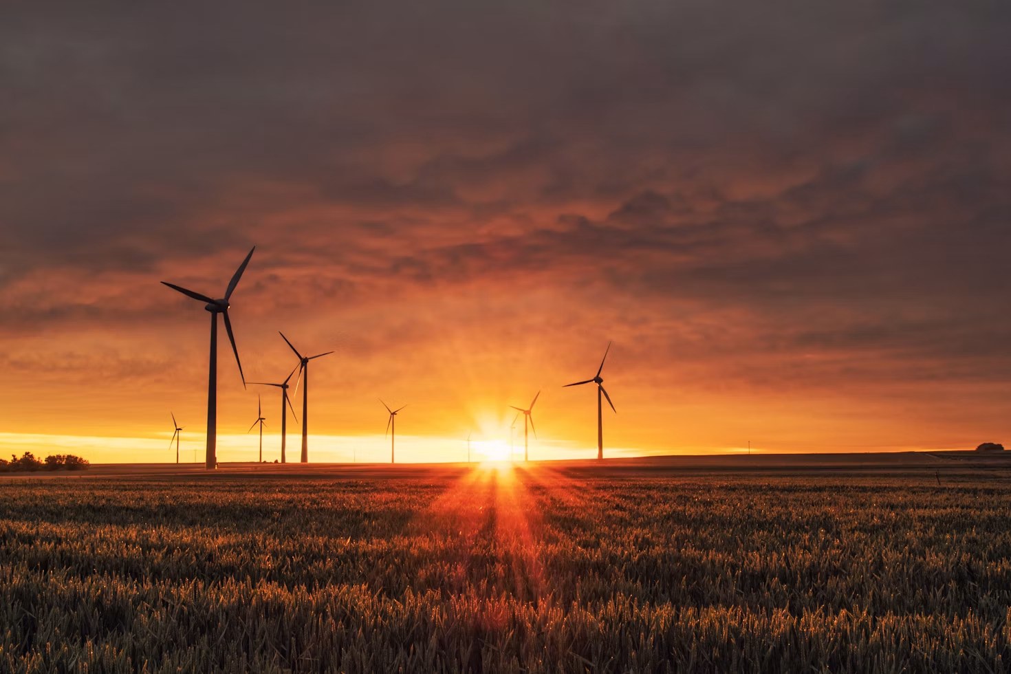 Windräder bei goldenem Licht